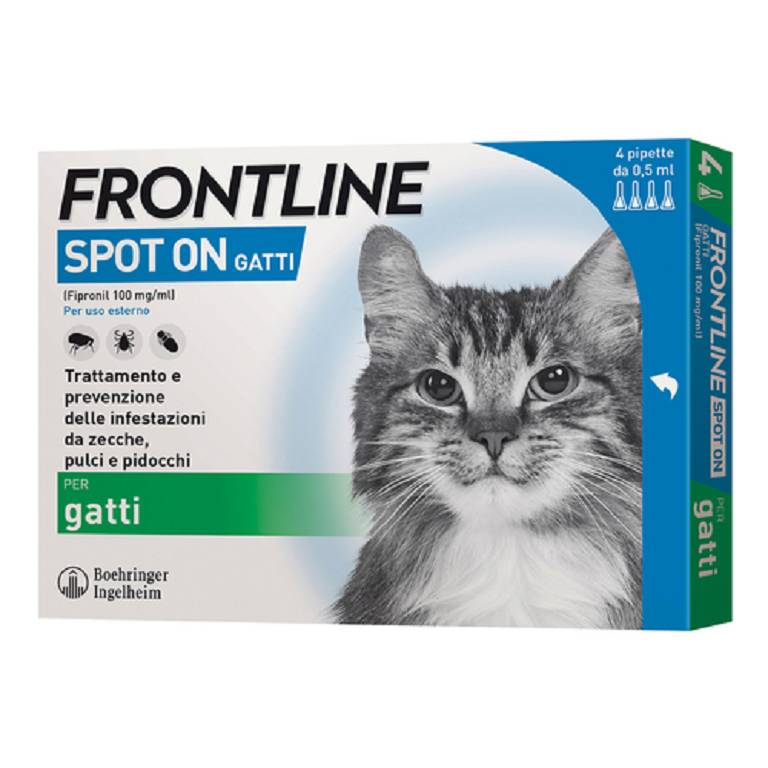 FRONTLINE*4PIP GATTI